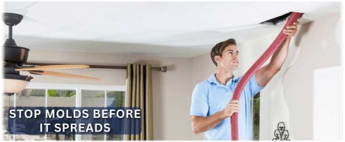 Air Duct Mold Removal in Menifee CA